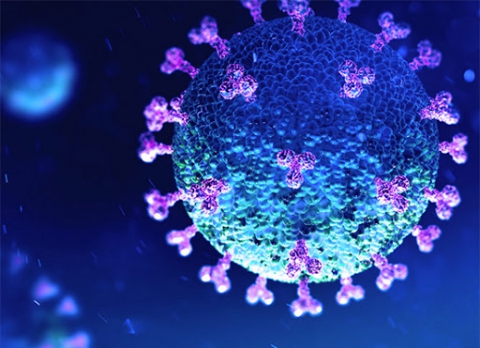 Vaccino Astrazeneca: anche in Puglia vietato l'utilizzo del lotto ABV2856